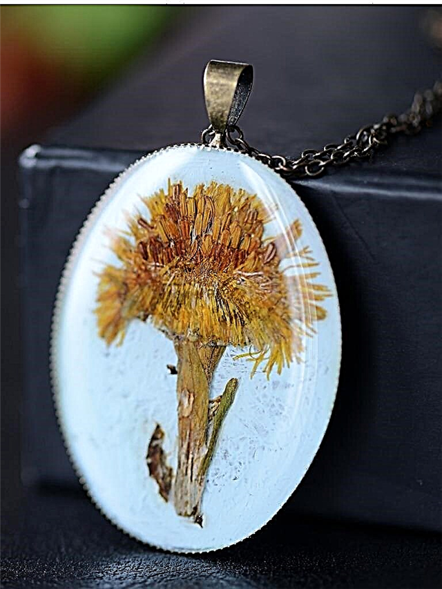 Idéias de jóias botânicas: Jóias DIY feitas de plantas