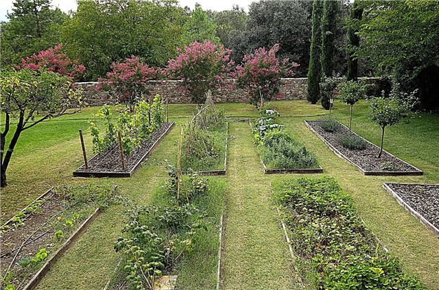 Dónde poner un jardín: cómo elegir la ubicación de un huerto