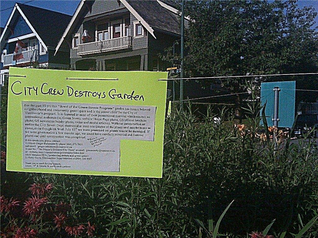 Dārzkopības likumi un rīkojumi - kopējie dārza likumi