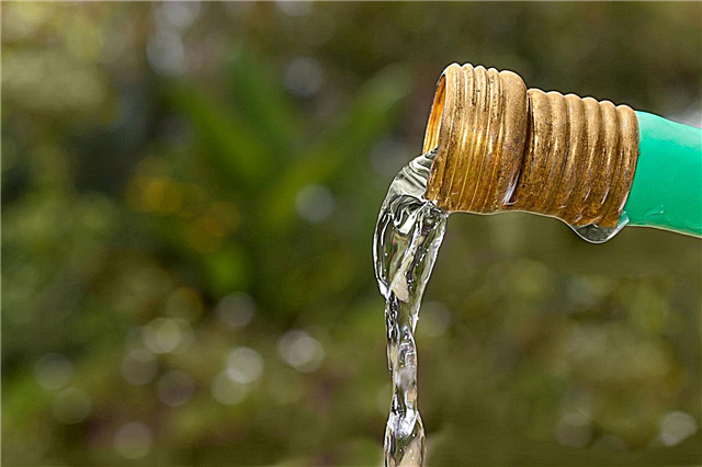Съвети за филтриране на градински маркучи - как да пречистите водата за градински маркуч