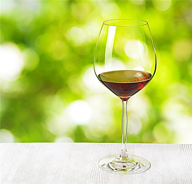 هل يمكنك تسميد النبيذ: تعرف على تأثير النبيذ على السماد