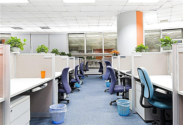Melhores plantas de escritório: boas plantas para o ambiente de escritório
