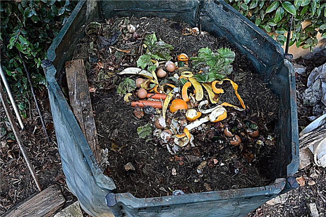 Vätskekomposteringstips: Kan du kompostera vätskor