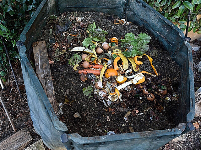 Utilizarea compostului în grădini - cât de mult este suficient compostul