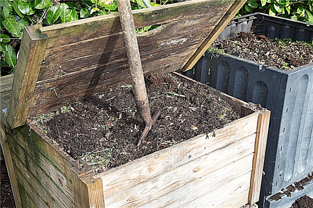 Kompostum Öldü: Eski Kompostu Canlandırmak İçin İpuçları