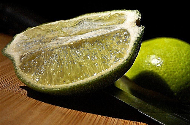 Fruits secs de citron vert
