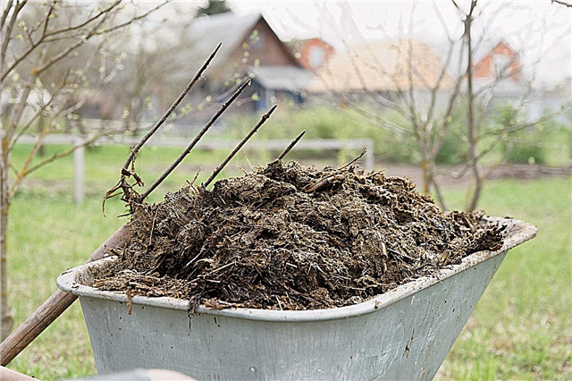 Los beneficios del compost de estiércol en su jardín