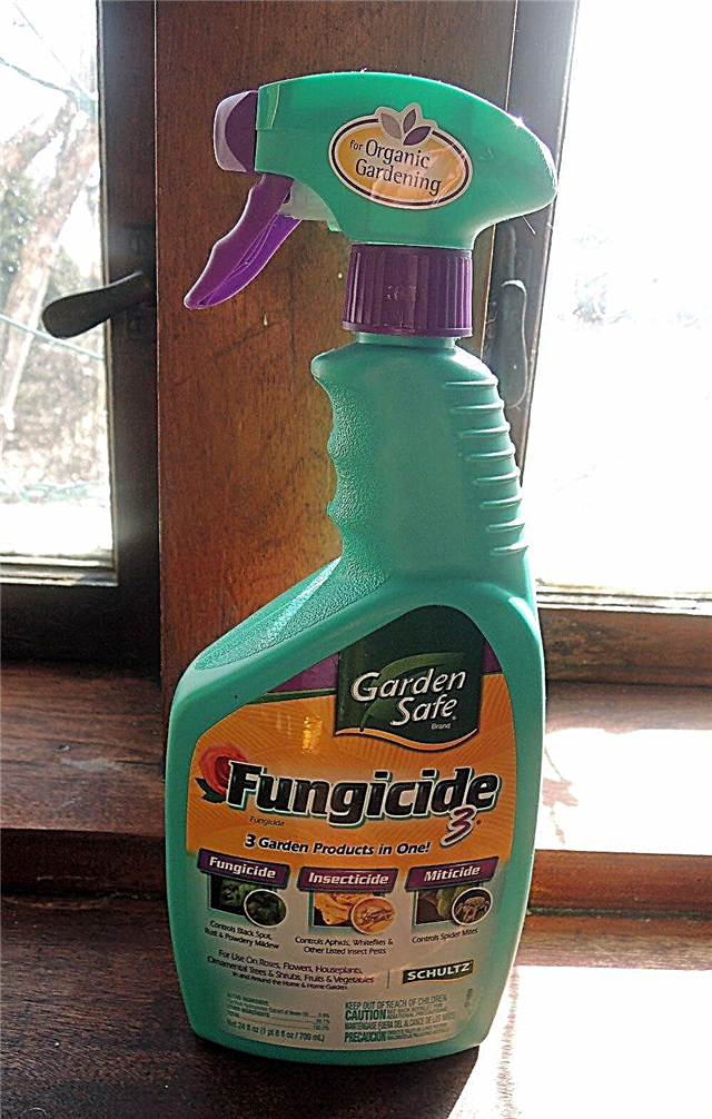 Jenis Fungisida: Menggunakan Fungisida Di Kebun Anda