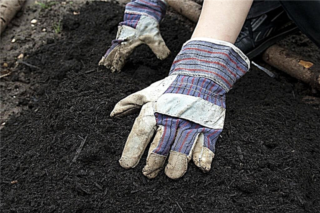 토양은 무엇인가 – 좋은 정원 심기 토양 유형 만들기