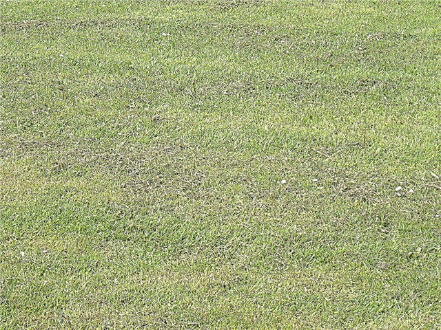 Попуните неравне травњаке са малим мрљама - како изравнати травњак