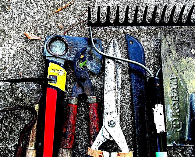 Deve ter ferramentas de jardinagem - Aprenda sobre ferramentas e equipamentos comuns de jardim