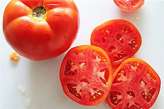 Ar pomidorai prinokę iš vidaus?