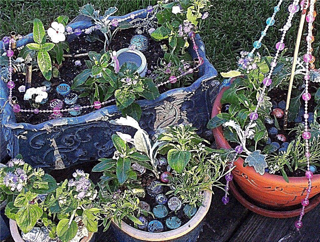 フェアリーガーデン–庭園をフェアリーサンクチュアリにする方法