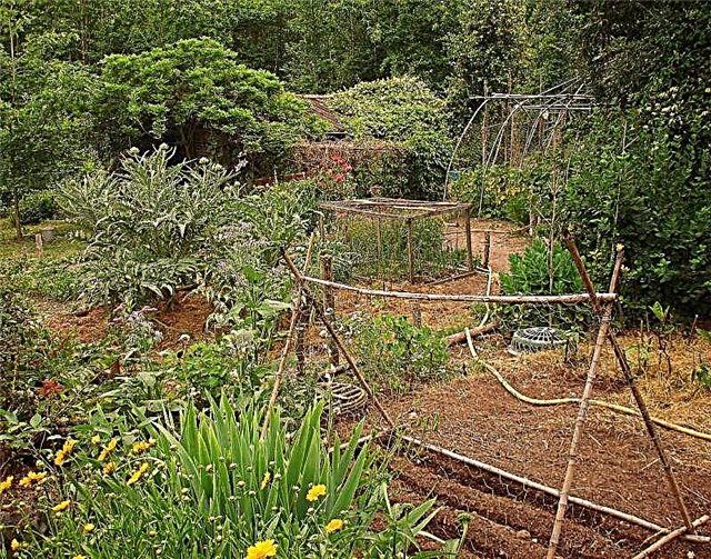 Cómo diseñar un jardín potager