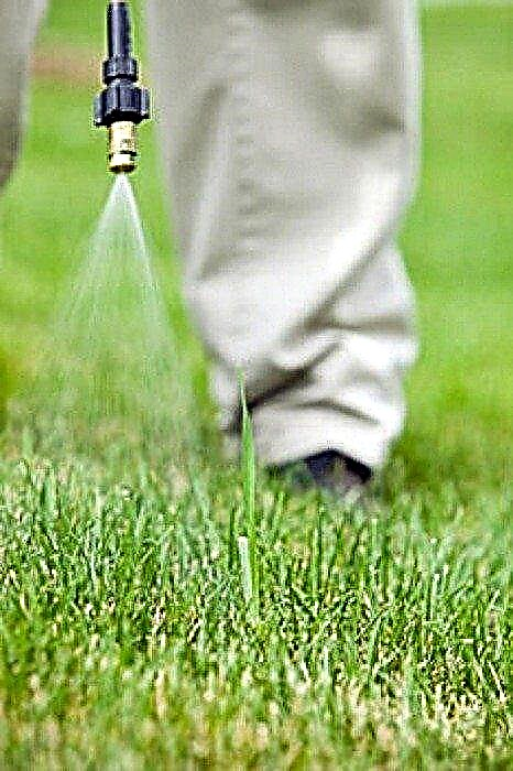 ¿Cuánto dura el herbicida en el suelo?