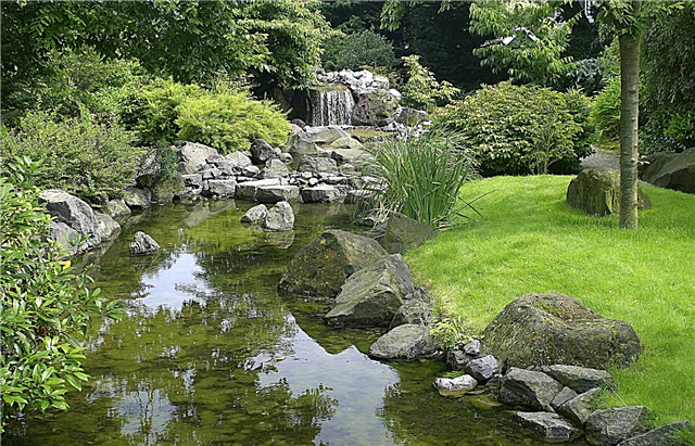 Specijalni vrtovi: Saznajte o jedinstvenim stilovima vrtlarenja