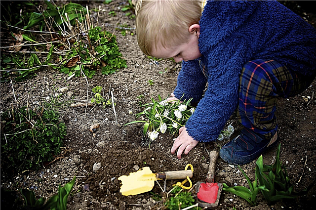 Gartenarbeit mit Kindern unter Verwendung von Themen