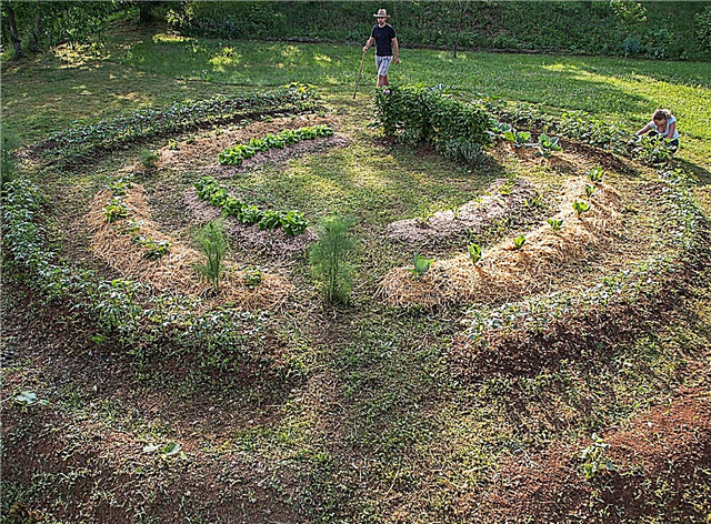 Mi a permakultúra-kert: a permakultúra-kertészet lényege