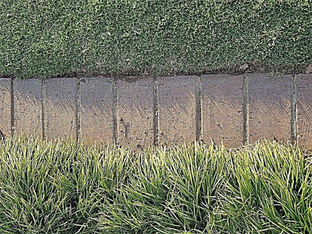 Pontas para escolher afiação do gramado