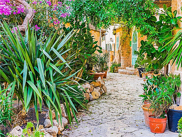 Crearea unei grădini în stil mediteranean