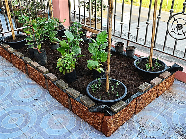 Что такое садовая кровать без раскопок: создание приподнятых клумб в городских условиях