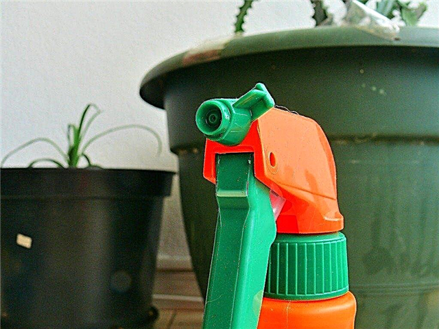 Utilisation sûre des pesticides: utilisation des pesticides dans le jardin en toute sécurité