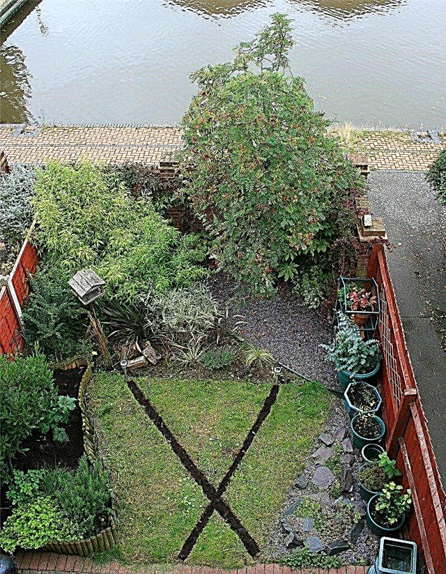Jardins urbanos do pátio: Projetando um jardim do pátio na cidade