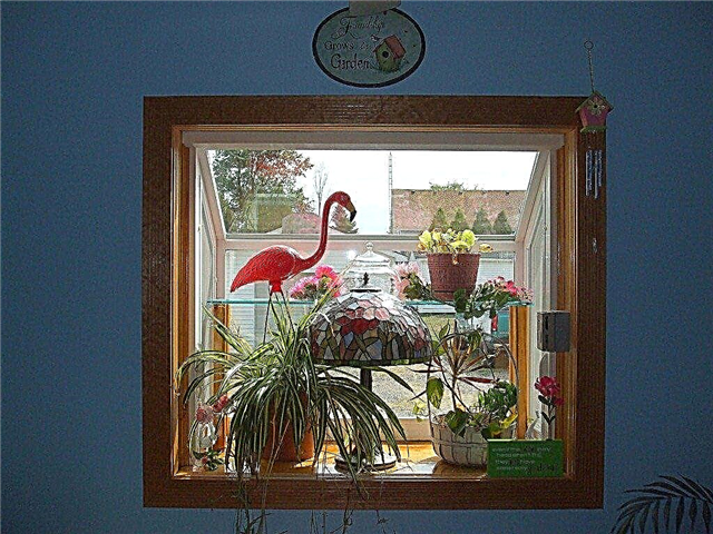 Pflanzenfenster für den Anbau von Pflanzen in Innenräumen