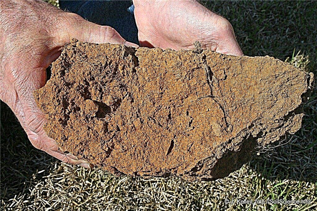 Îmbunătățirea solului din argilă în curtea ta