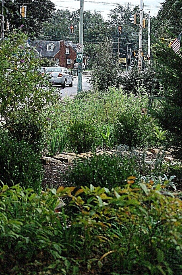 O que é um jardim urbano: Aprenda sobre o projeto urbano de jardins