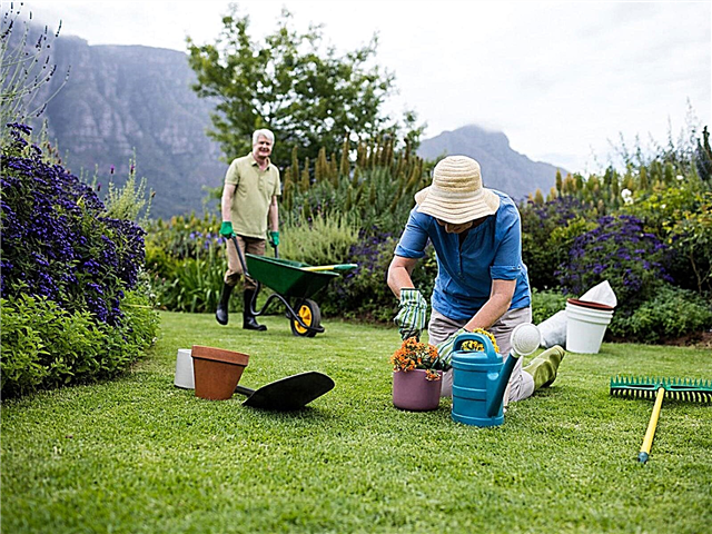 Hagefitness: Lær om trening i hagen