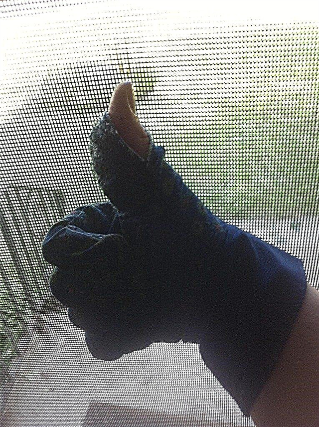 Món quà cho việc làm vườn: Ngón tay cái màu xanh có phải là một huyền thoại?