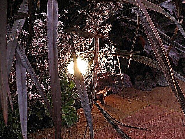 Āra apgaismojuma iespējas: padomi āra dārza apgaismojuma lietošanai