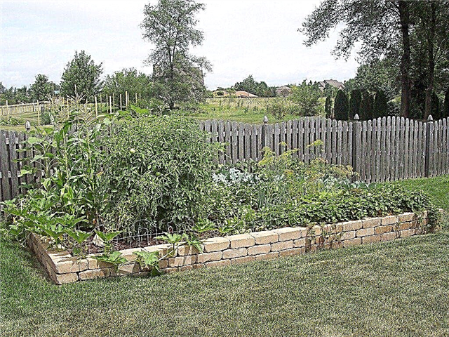 Układ Twojego ogrodu warzywnego