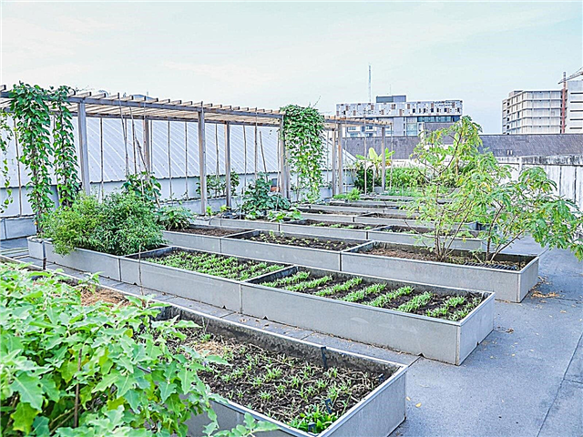 Crearea propriei grădini pe acoperiș