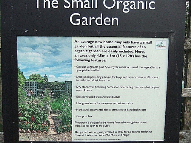 Guía de planificación para jardines orgánicos: diez consejos para la jardinería orgánica