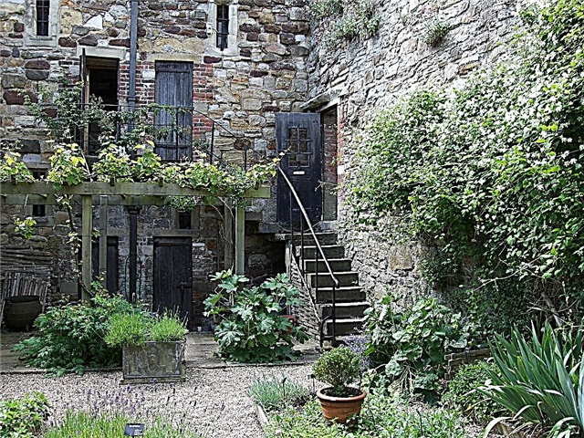 Grădina cu ierburi medievale