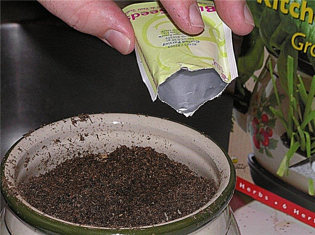 Voortplanting in uw kruidentuin