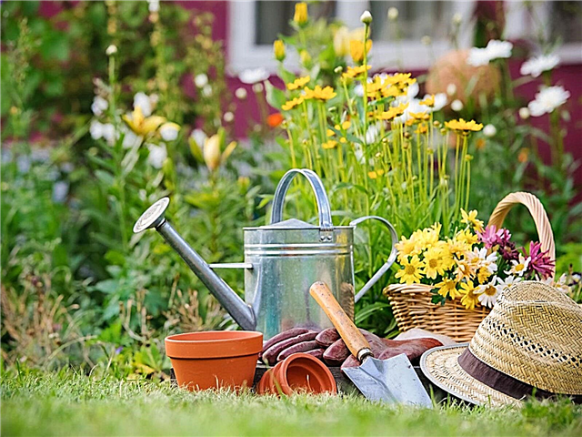 Northeast Gardening: Dingen om te doen in May Gardens