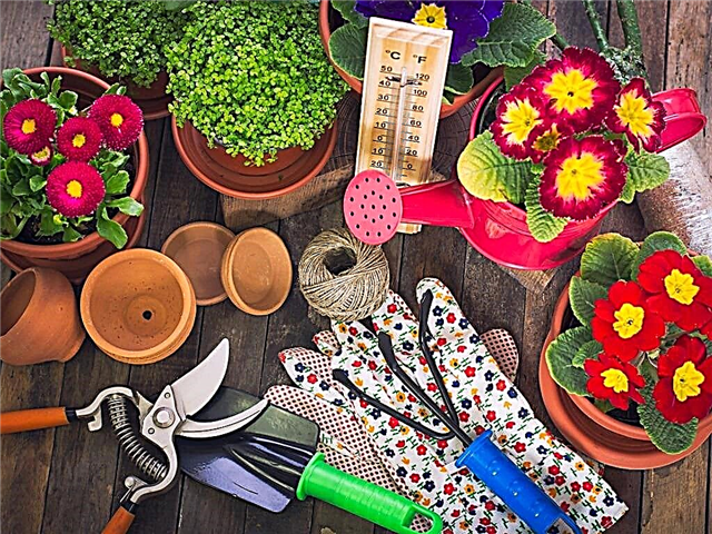 Lista de tareas pendientes de jardinería: consejos regionales de jardinería para mayo