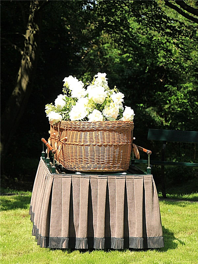Što su zeleni sahrani - saznajte više o mogućnostima sahrane pogodnih za zemlju