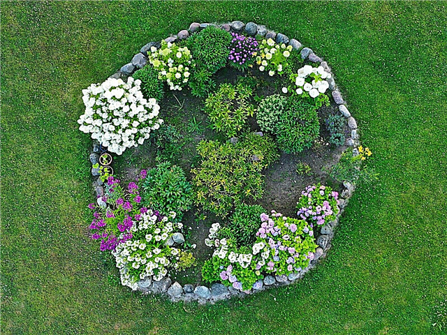 Blumenbeet Kreis Design: Wie man Blumen in einem Kreis wachsen lässt