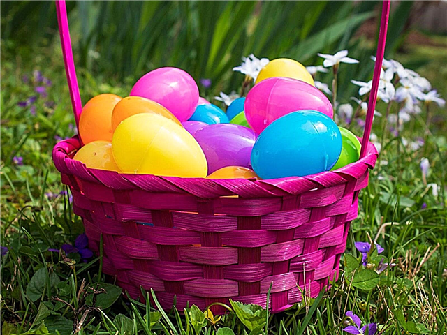 Ideas recicladas de huevos de Pascua: formas de reutilizar los huevos de Pascua