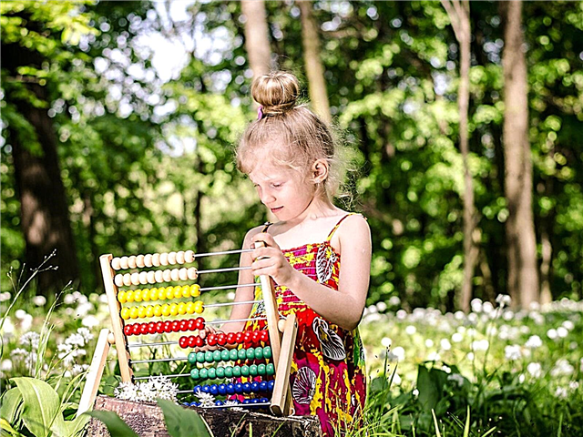 Homeschooling nos jardins - idéias para amarrar a matemática na natureza