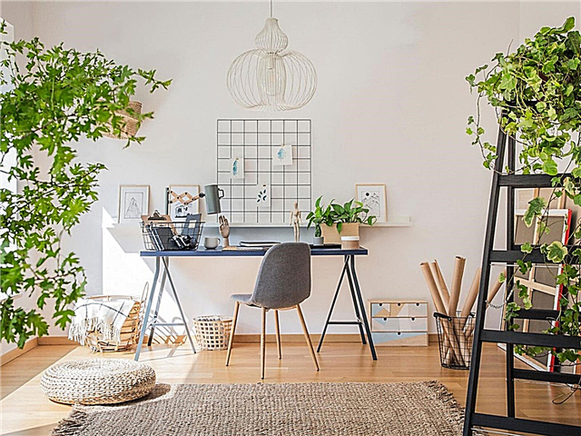 Home Office-Pflanzen - Wachsende Zimmerpflanzen für Home Office-Räume