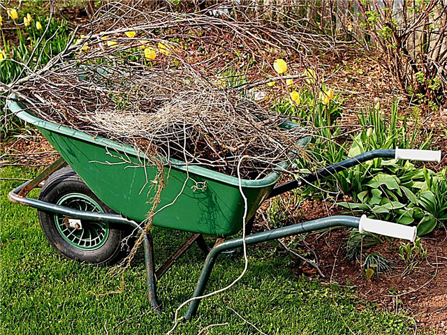 Gartenpflege im April: Gartenarbeiten im oberen Mittleren Westen