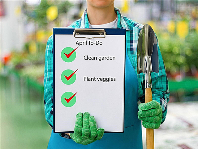Abril Regional To-Do List - Dicas para jardinagem em abril