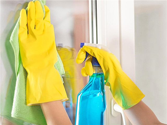 Pulisci la tua casa naturalmente: scopri i disinfettanti per la casa naturali