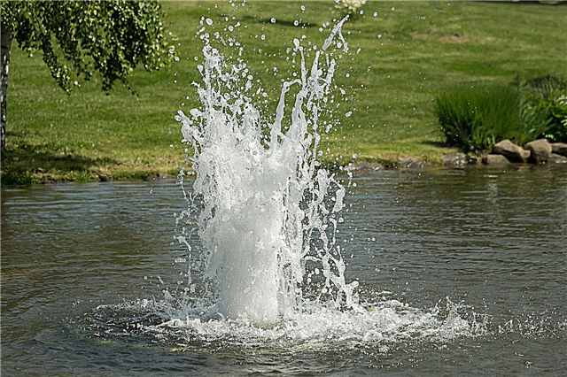 Qu'est-ce que l'aération des bulles: en savoir plus sur les systèmes Pond Bubbler