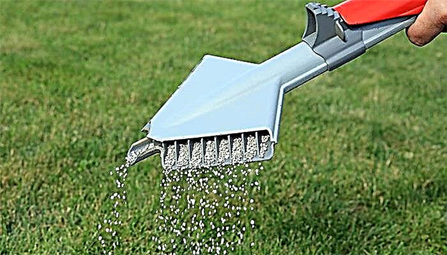 Jak často byste měli hnojit svůj trávník?